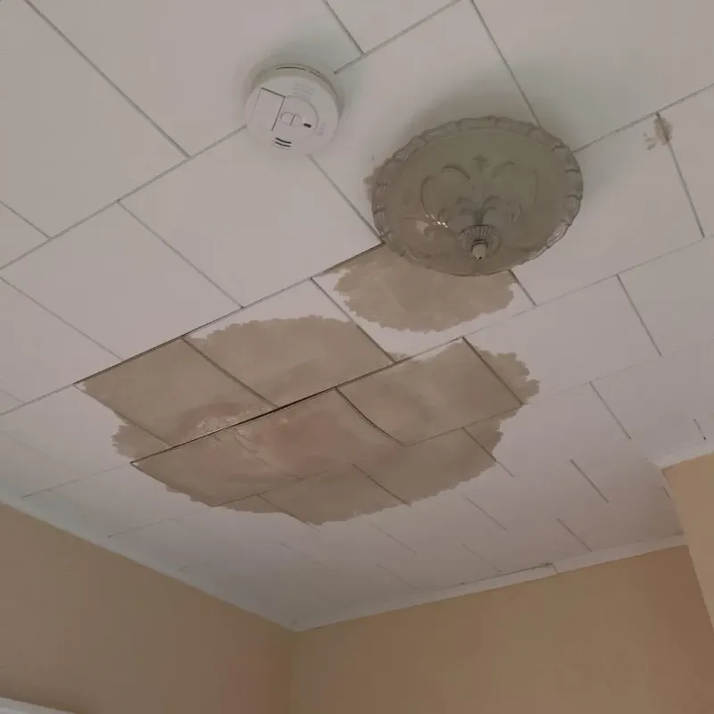 Ceiling Water Damage Repair in Blanchester, OH