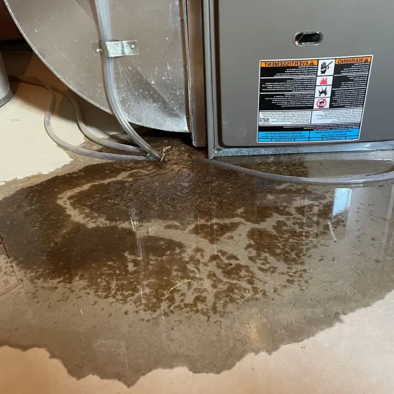 Pipe Burst and Leak Restoration in Blanchester, OH