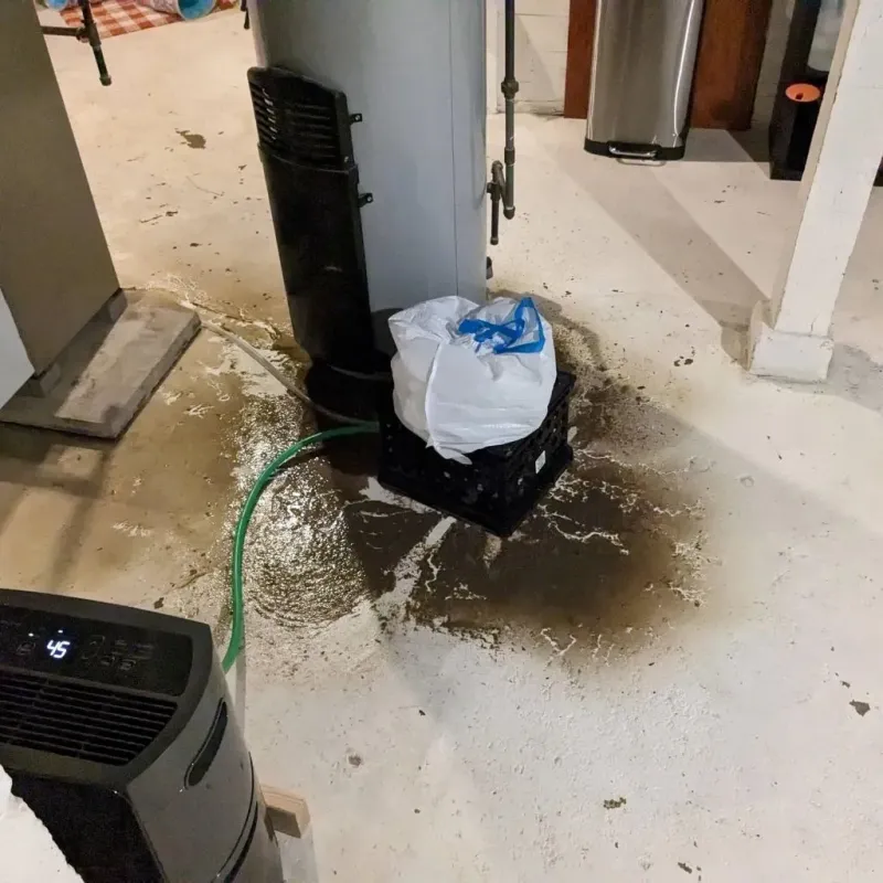 Sewage Backup Cleanup Service in Blanchester, OH